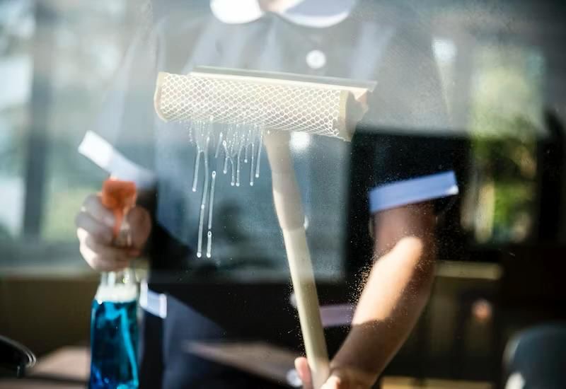 Professional window cleaning service